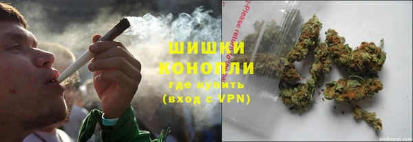 apvp Костерёво