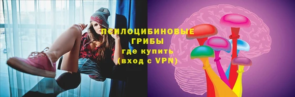 apvp Костерёво