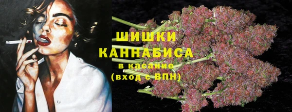 apvp Костерёво