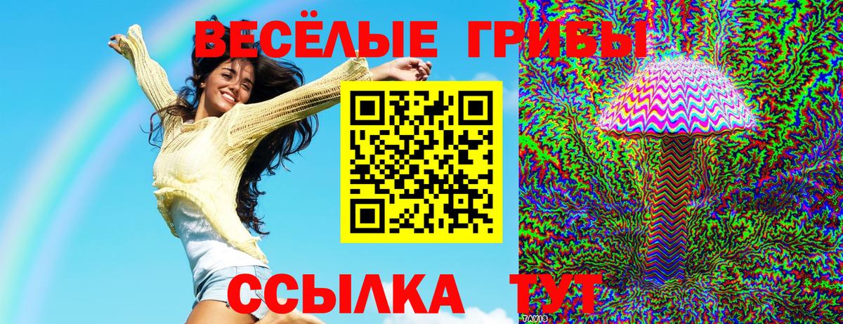 Галлюциногенные грибы прущие грибы  Вход с VPN  Галлюциногенные грибы MAGIC MUSHROOMS  сколько стоит  Братск 