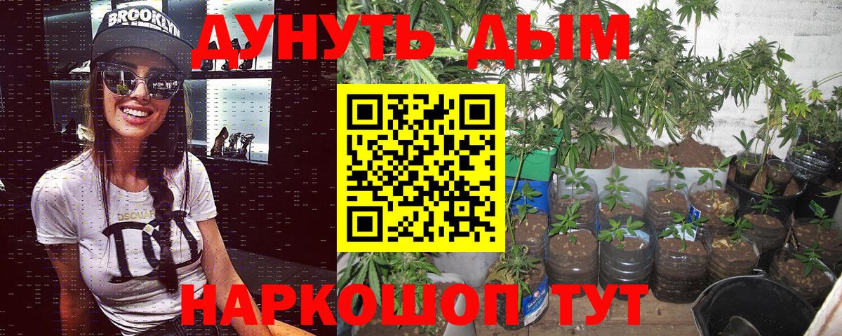 Марихуана тримм  Бошки Шишки гибрид  Братск  Вход с VPN  Марихуана семена 
